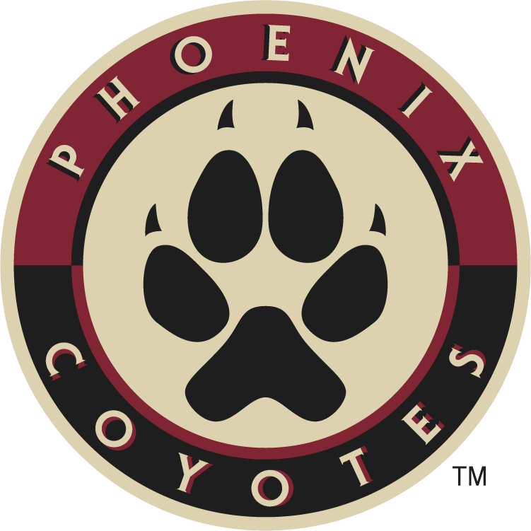 Phoenix Coyotes 2008-2014 Alternate Logo iron on transfers for clothing